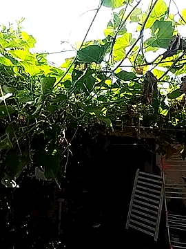 Putaepirocudo online show from April 14, 2026, 12:55 pm