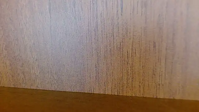 Snapshot of _SamanthaDoll_ chatting on December 22, 2024, 7:00 am SamanthaDoll online show from December 22, 2024, 7:00 am