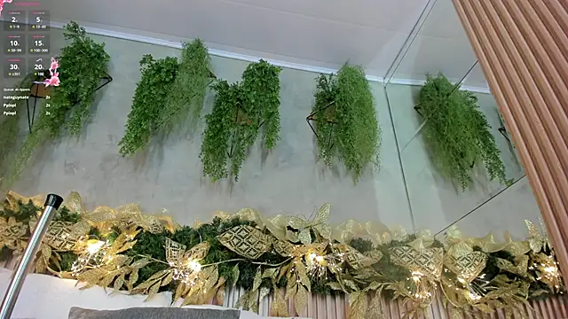 Lana Lann online show from December 28, 2024, 3:48 pm