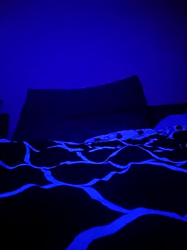 McdyllanXX online show from January 11, 2025, 1:06 am