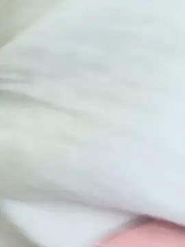 CarolaDrago online show from March 15, 2025, 12:24 pm