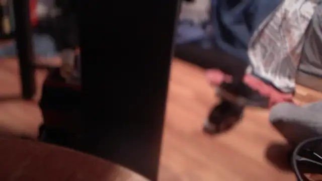 flexingplexico online show from March 2, 2025, 9:01 pm