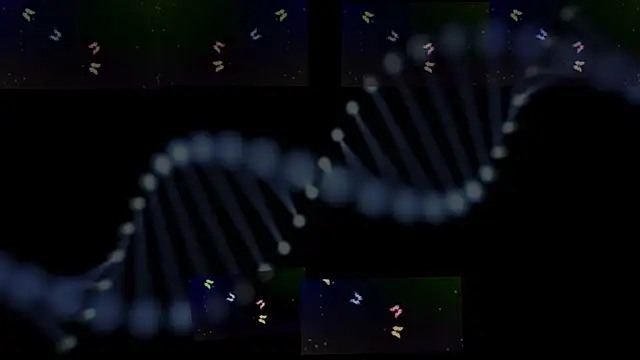 Snapshot of OwenBluee chatting on January 29, 2025, 9:33 am OwenBluee online show from January 29, 2025, 9:33 am