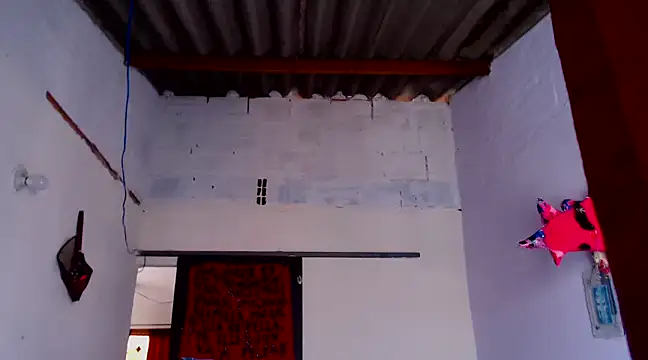 Zafiro subversiva online show from February 3, 2025, 2:13 pm