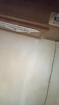 Dllarge online show from October 15, 2025, 3:50 am