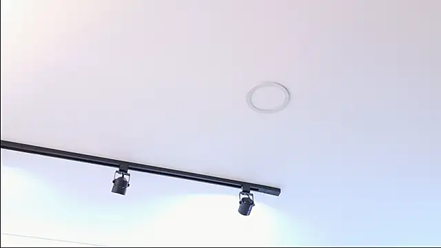  BellaDonna  online show from November 12, 2025, 11:36 pm