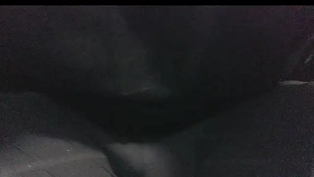 Snapshot of robeaulieu02 chatting on February 23, 2025, 6:17 am robeaulieu02 online show from February 23, 2025, 6:17 am