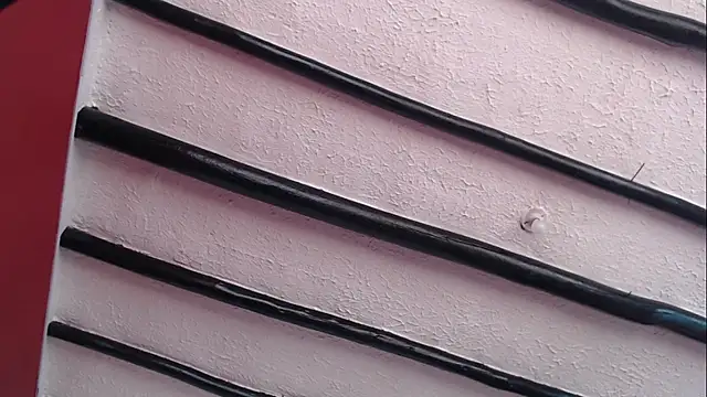 Freyja eter online show from December 9, 2024, 1:55 pm