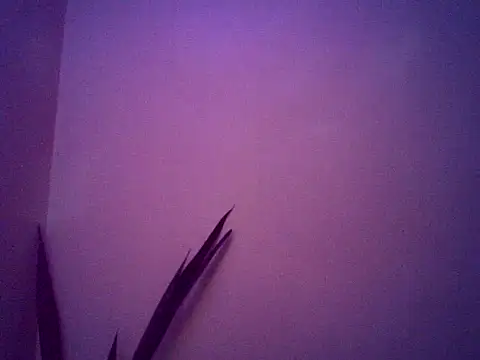 Malandralle online show from November 25, 2025, 5:29 am