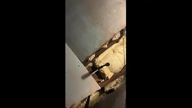 Manwhorxxlcock online show from March 3, 2026, 10:32 am