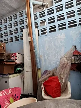 brigitht online show from November 12, 2025, 5:02 pm