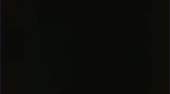 Geisha Seniers online show from January 14, 2025, 3:15 pm