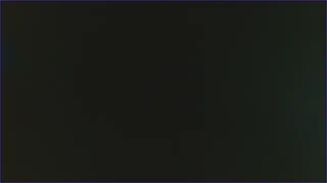 Geisha Seniers online show from February 11, 2025, 6:44 pm