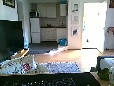 mihaimichael online show from April 29, 2026, 7:34 am