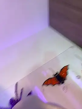 mikuru hara online show from October 5, 2025, 2:10 am