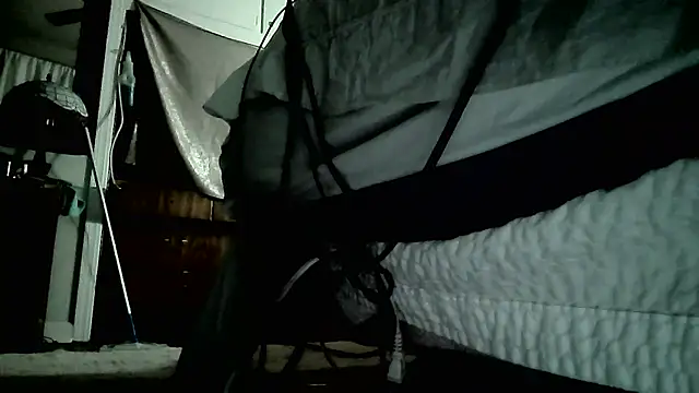 paiday online show from December 26, 2024, 9:55 am