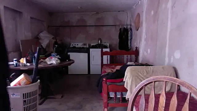 LoretoMx online show from November 17, 2025, 5:08 pm