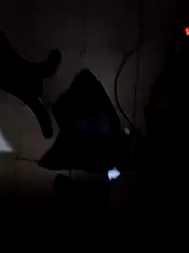 Snapshot of everyoneneeds chatting on December 26, 2024, 7:03 am everyoneneeds online show from December 26, 2024, 7:03 am