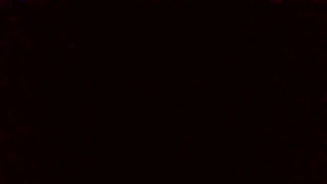 Tinny and Candy online show from January 22, 2025, 11:32 pm