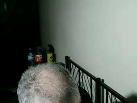 100Tauros online show from February 5, 2026, 10:36 pm