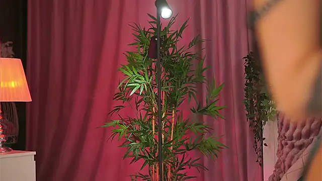 Evelyn Evyyy online show from February 9, 2025, 7:19 pm