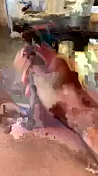 elber-gdo online show from February 5, 2025, 10:55 pm