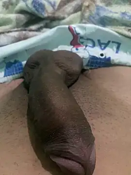 king cum  online show from December 24, 2024, 9:28 am