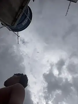 king cum  online show from February 19, 2026, 4:47 pm