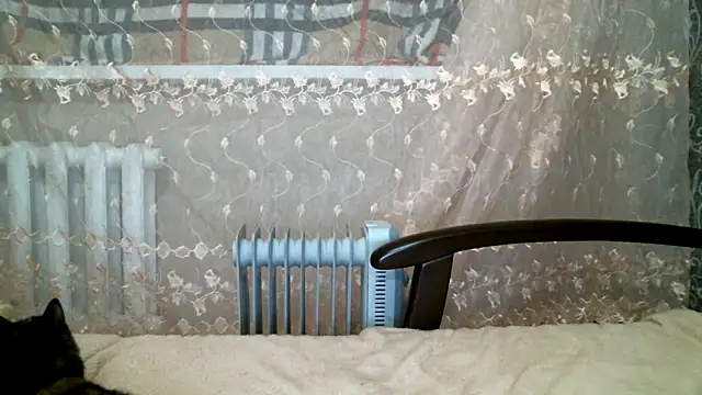 DennisXCaroll online show from February 16, 2025, 6:32 pm