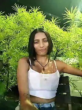 lily sk online show from December 4, 2024, 2:20 am