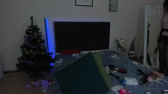 CassieEvans online show from December 29, 2024, 6:56 am