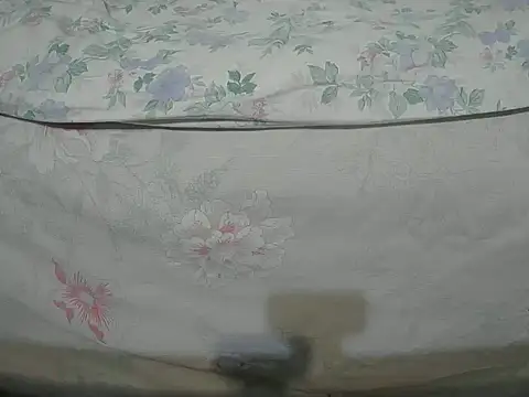 Tiger202441 online show from December 16, 2024, 10:24 pm