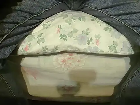 Tiger202441 online show from December 27, 2024, 10:37 pm