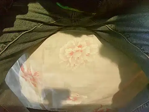 Tiger202441 online show from December 30, 2024, 9:48 am