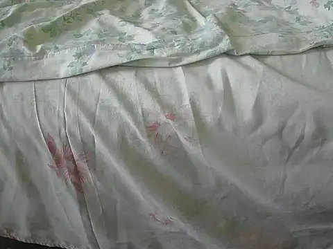 Tiger202441 online show from December 31, 2024, 12:04 pm