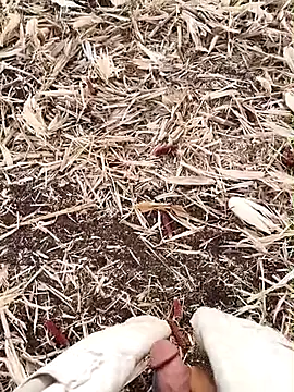 murokkk31 online show from September 15, 2025, 2:55 am