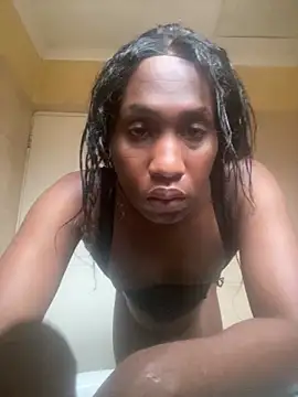 Moorella1 online show from April 23, 2026, 11:42 am