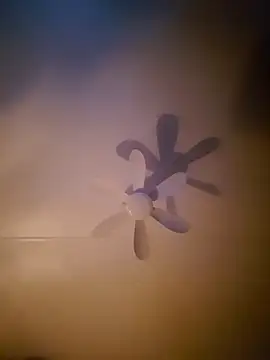 Snapshot of Dorset8360 chatting on November 18, 2025, 2:17 am Dorset8360 online show from November 18, 2025, 2:17 am