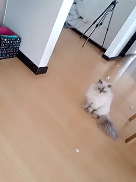 Snapshot of _monicab chatting on September 27, 2025, 2:55 pm monicab online show from September 27, 2025, 2:55 pm