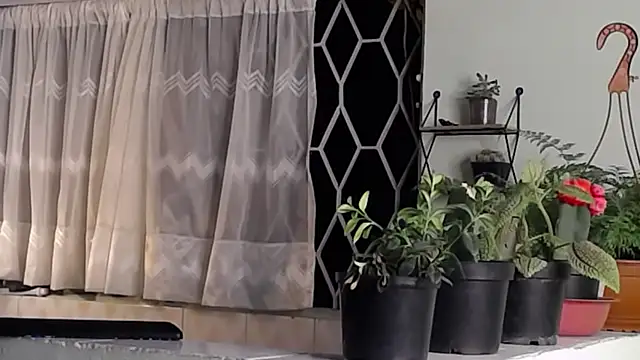 peyton golden1 online show from January 16, 2025, 6:35 am