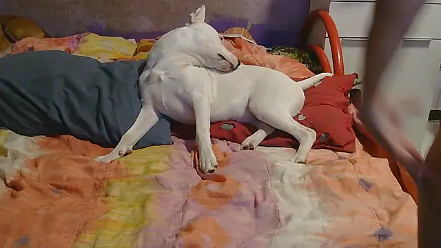 couplemilf2 online show from December 6, 2024, 11:25 pm