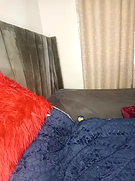 Golden diver online show from November 24, 2025, 8:14 am