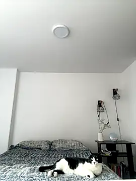 SofiaG  online show from October 4, 2025, 7:01 pm