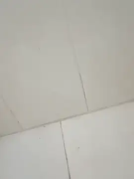 taradobbsafadok online show from December 1, 2025, 11:32 pm