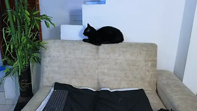 Lorenne Miller online show from April 22, 2026, 3:53 am