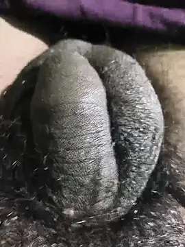 rajrahulovi online show from February 13, 2026, 12:56 pm