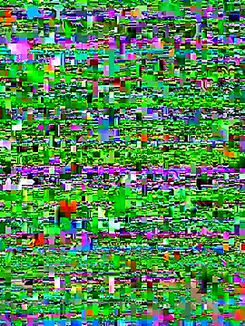 Snapshot of bad-boy-2002 chatting on October 5, 2025, 2:37 pm bad-boy-2002 online show from October 5, 2025, 2:37 pm