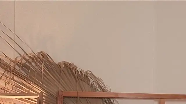 my lina online show from April 24, 2026, 5:54 am