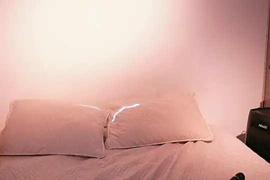 Nicky and Blake online show from February 2, 2025, 7:57 pm