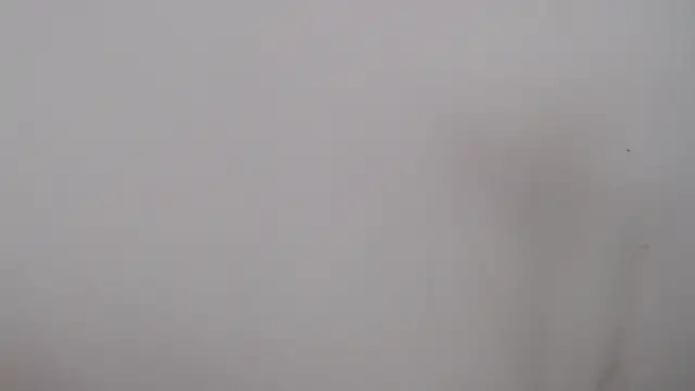 leoytessa 10 online show from December 5, 2024, 9:17 pm